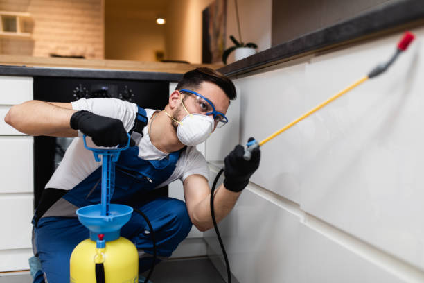 Best Residential Pest Control  in St Francisville, LA