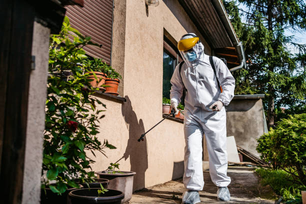 Best Best Pest Control Companies  in St Francisville, LA