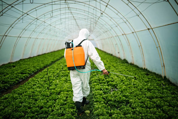 Best Pest Control Cost  in St Francisville, LA