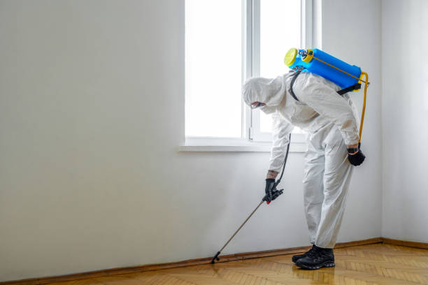 Best Affordable Pest Control Services  in St Francisville, LA