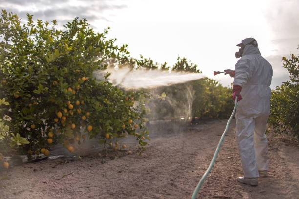 Best Pest Prevention Services  in St Francisville, LA