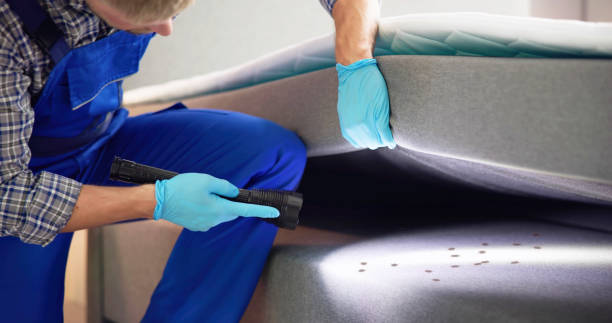 Best Ant Control Services  in St Francisville, LA