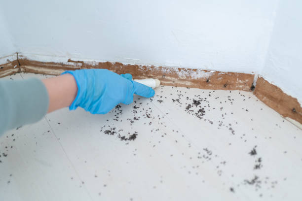 Best Commercial Pest Control Services  in St Francisville, LA