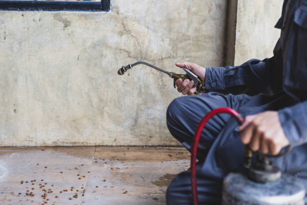 Professional Pest Control in St Francisville, LA