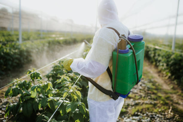 Best Rat Extermination Near Me  in St Francisville, LA